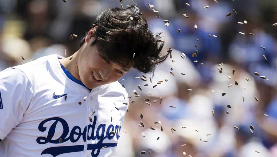 Los Angeles Dodgers' Shohei Ohtani is hit with sunflower seeds after hitting a two-run home run during the third inning of a baseball game against the New York Mets in Los Angeles, Sunday, April 21, 2024. (AP Photo/Kyusung Gong, FIle)