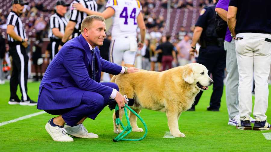 ESPN sportscaster Kirk Herbstreit and his dog Ben watch warmups before the game at Kyle Field on October 26, 2024 in College Station, Texas.