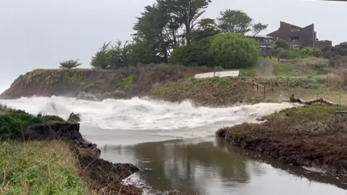 scotty's creek high surf